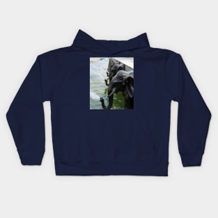 Elephant Fountain Kids Hoodie